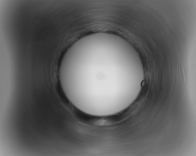 X0000099480460200805090837