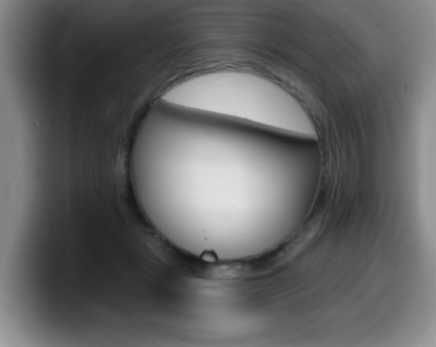 X0000099480461200805090837