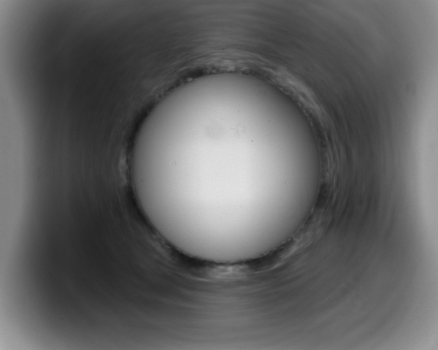 X0000099480465200805090837