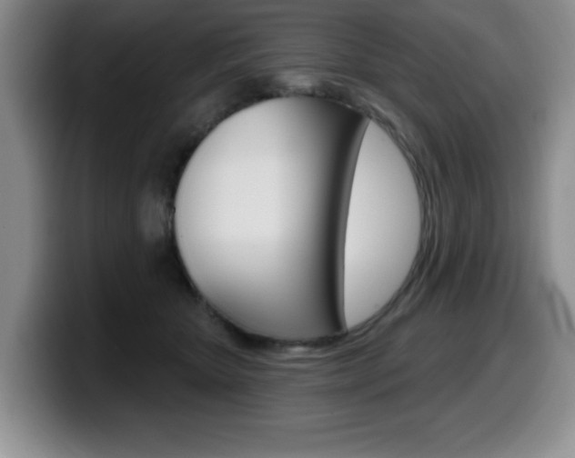 X0000099480467200805090837