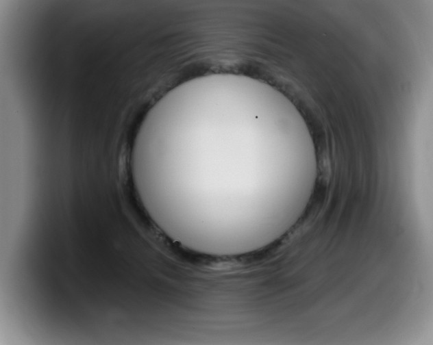 X0000099480468200805090837