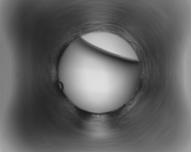 X0000099480469200805090837