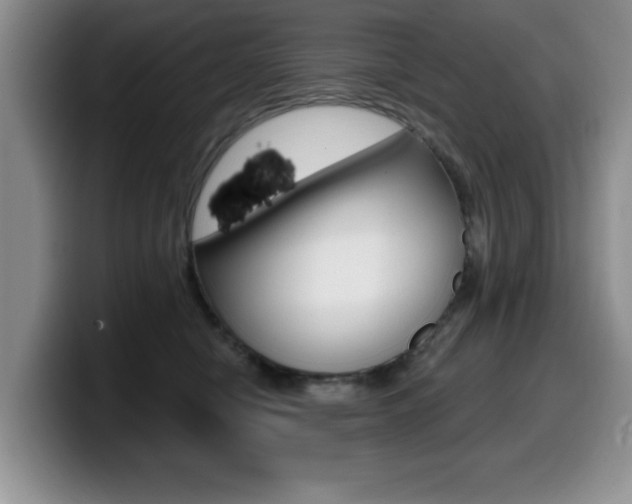 X0000099480470200805090837