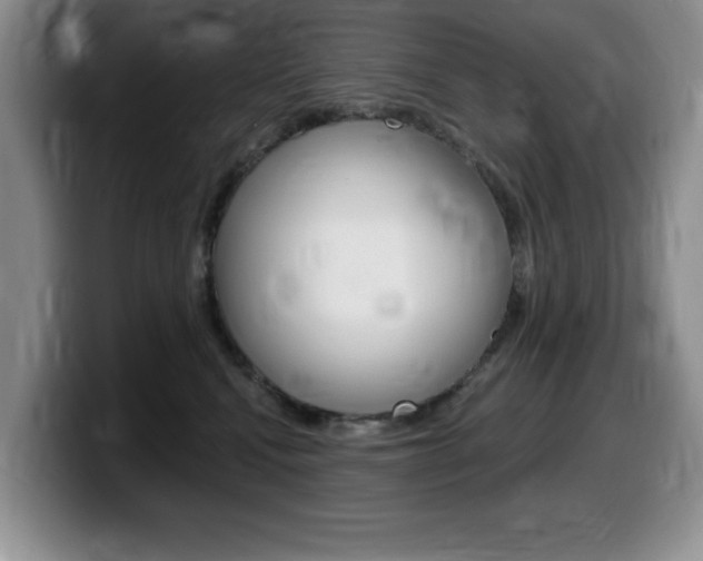 X0000099480472200805090837