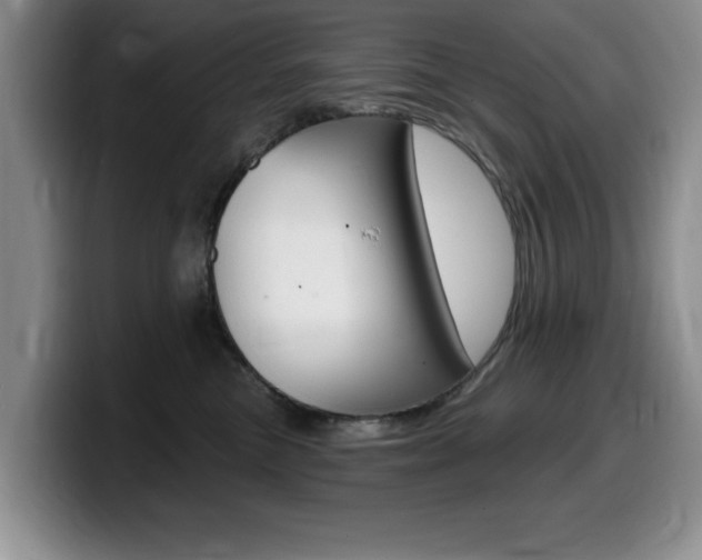 X0000099480473200805090837