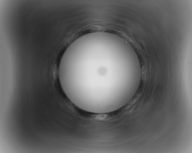 X0000099480474200805090837
