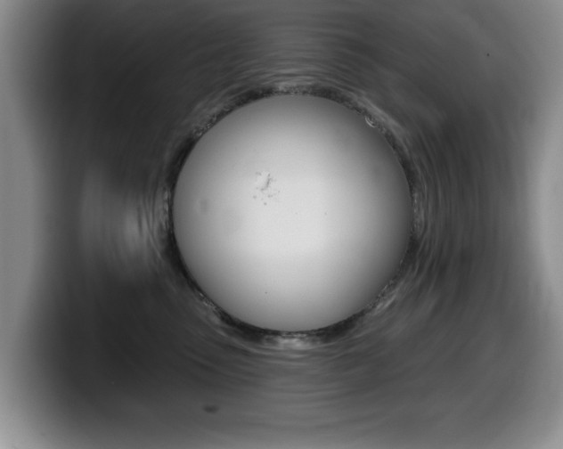 X0000099480475200805090837