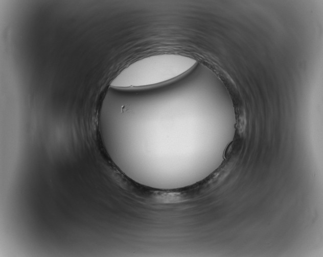 X0000099480476200805090837