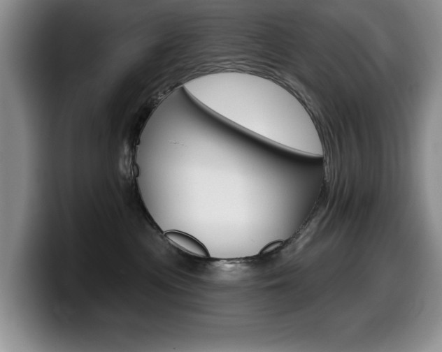 X0000099480477200805090837