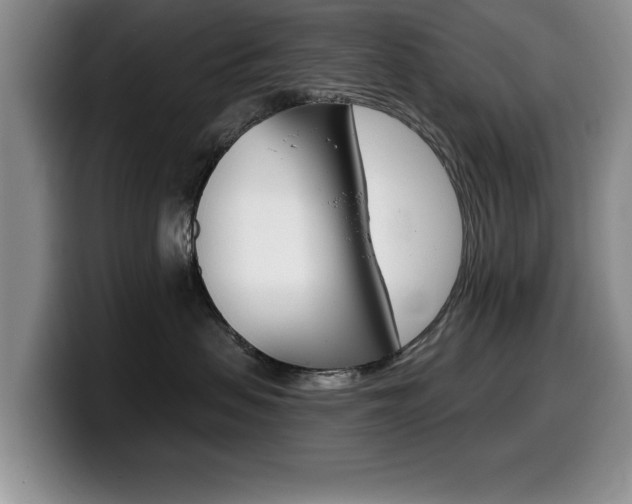 X0000099480479200805090837