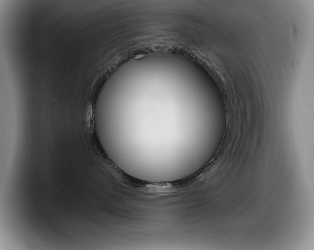 X0000099480480200805090837
