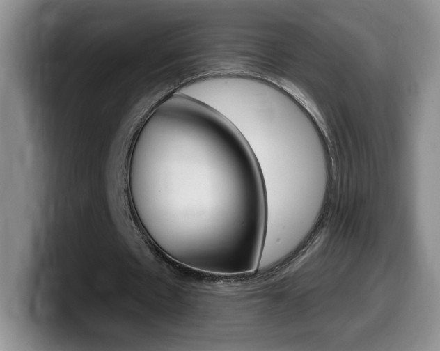 X0000099480481200805090836