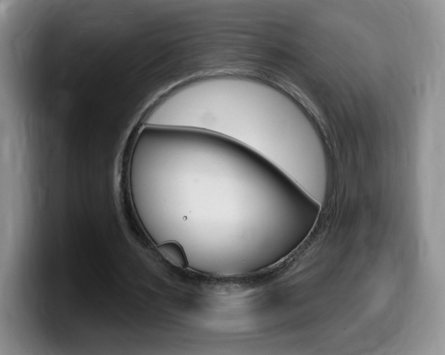 X0000099480483200805090836
