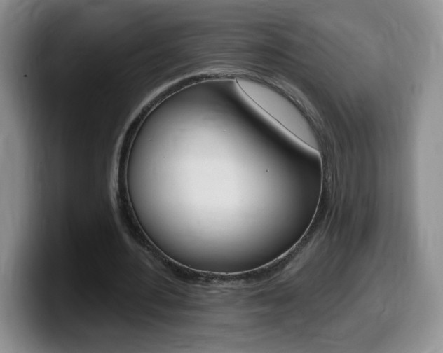 X0000099480484200805090836