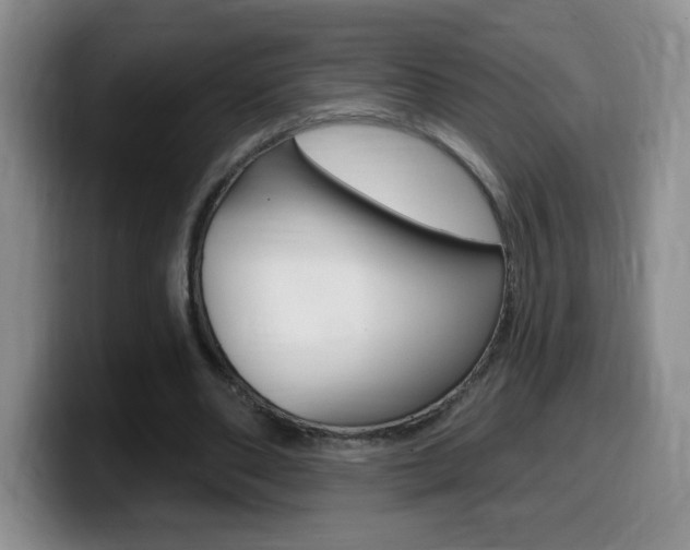 X0000099480486200805090836