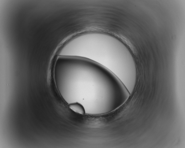 X0000099480488200805090836