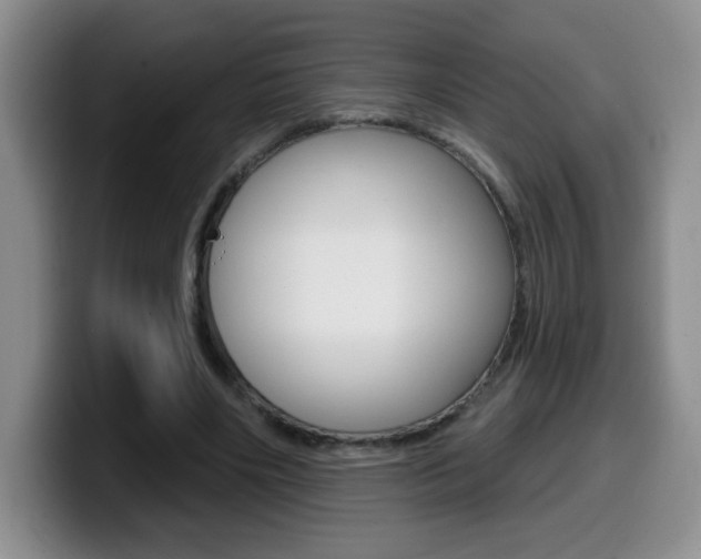X0000099480490200805090836