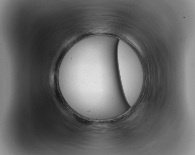 X0000099480491200805090836
