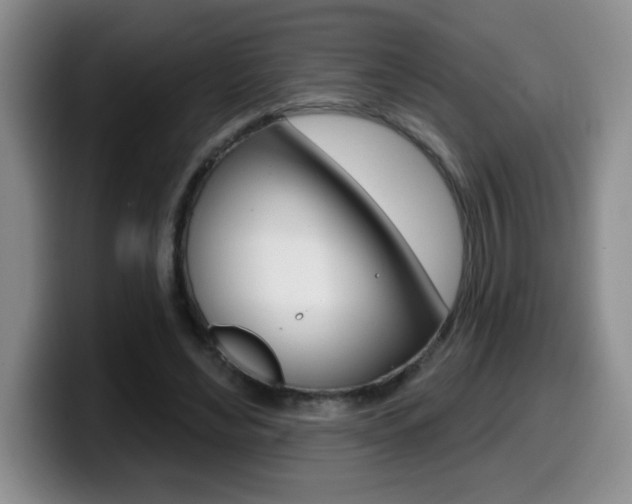 X0000099480492200805090836