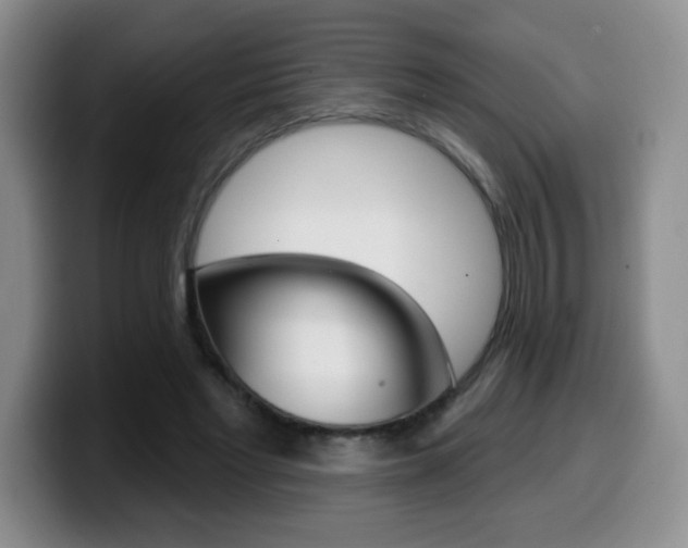 X0000099480493200805090836