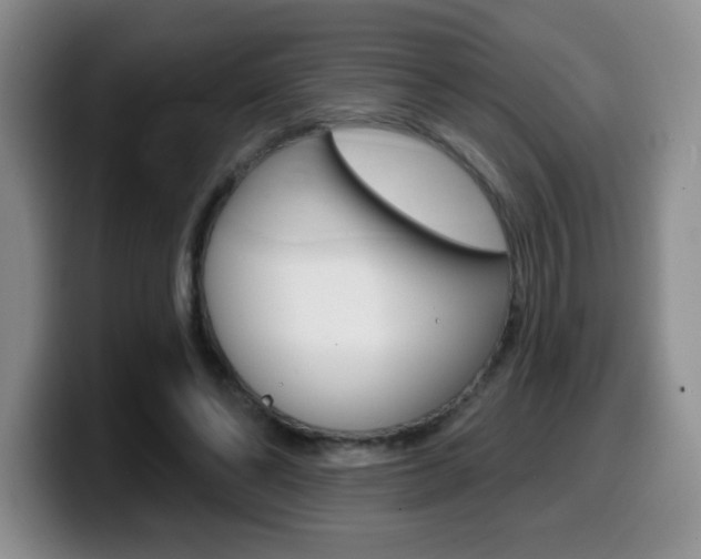 X0000099480494200805090836