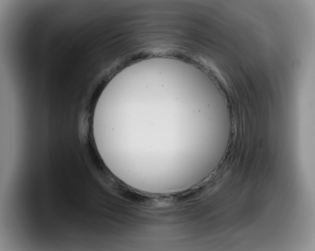 X0000099480495200805090836