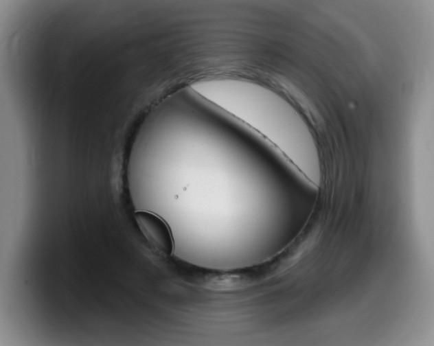 X0000099480497200805090836