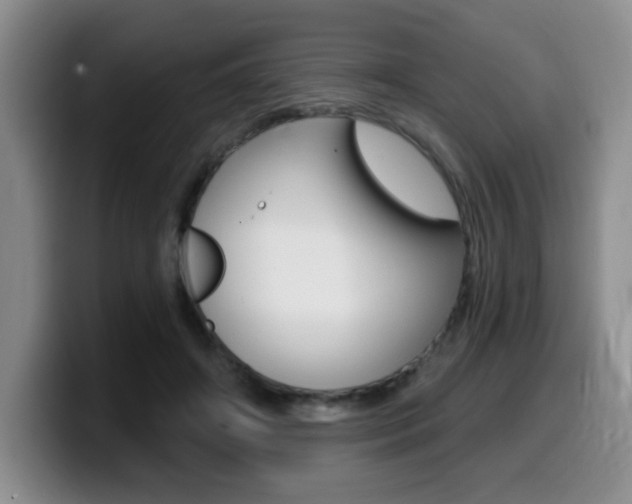 X0000099480498200805090836