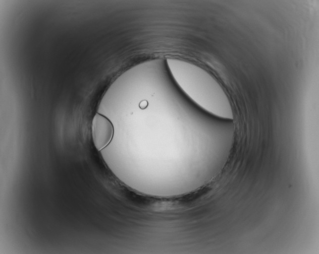 X0000099480499200805090836
