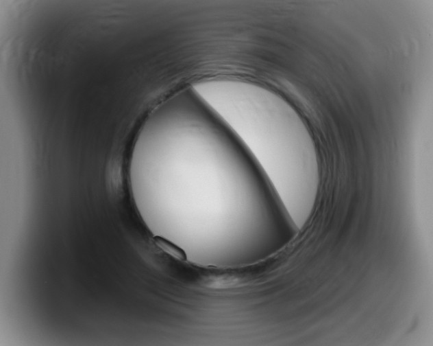 X0000099480500200805090836