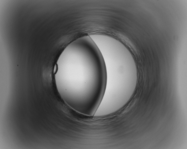 X0000099480501200805090836