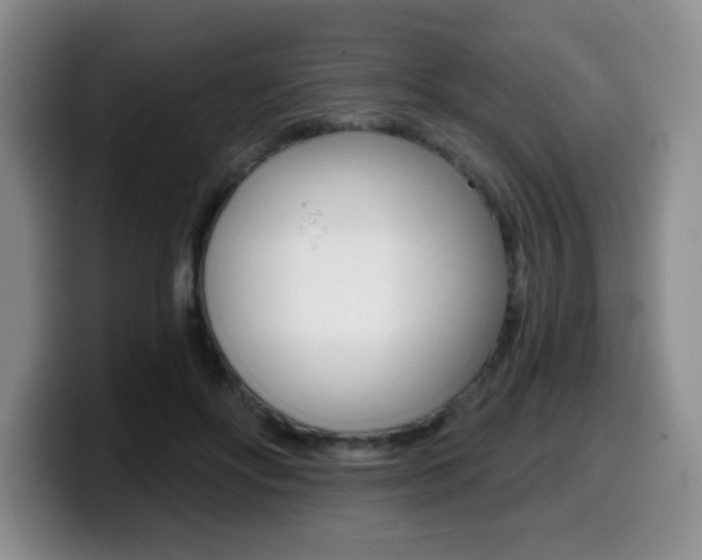 X0000099480502200805090836