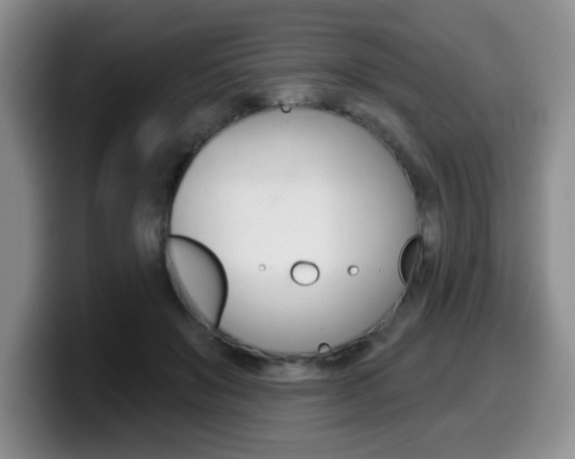 X0000099480503200805090836