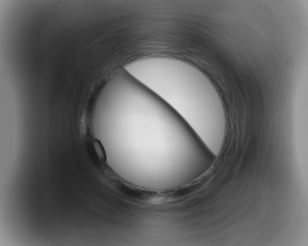 X0000099480504200805090836