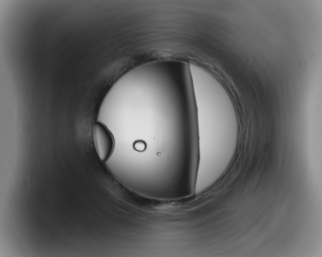 X0000099480505200805090836
