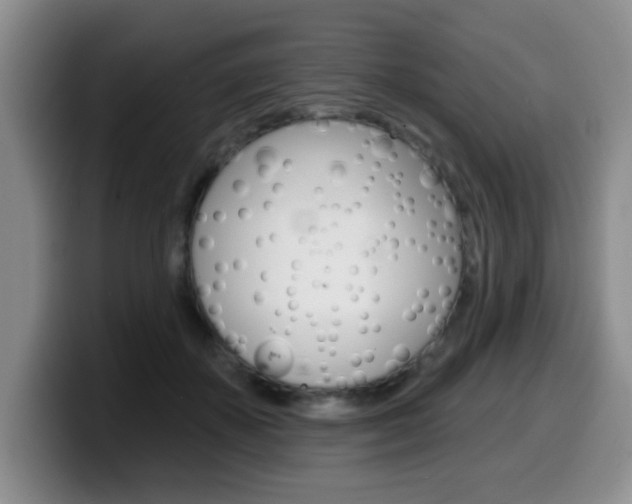 X0000099480507200805090836