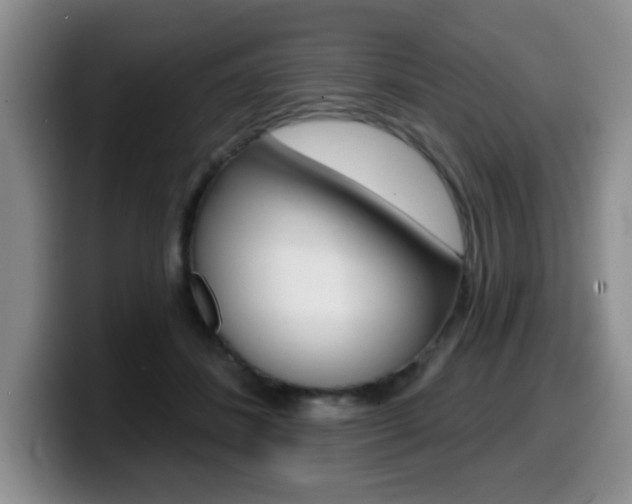 X0000099480508200805090836