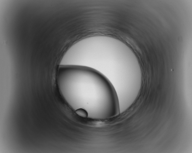 X0000099480509200805090836