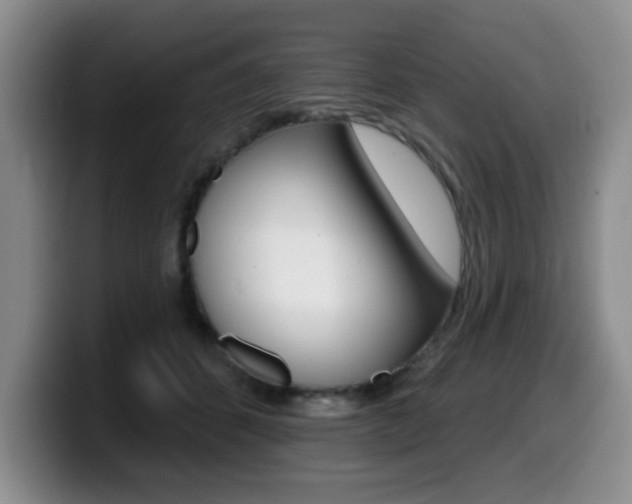 X0000099480512200805090836