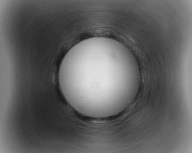 X0000099480515200805090836