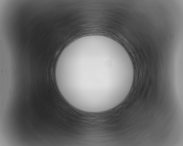 X0000099480516200805090836