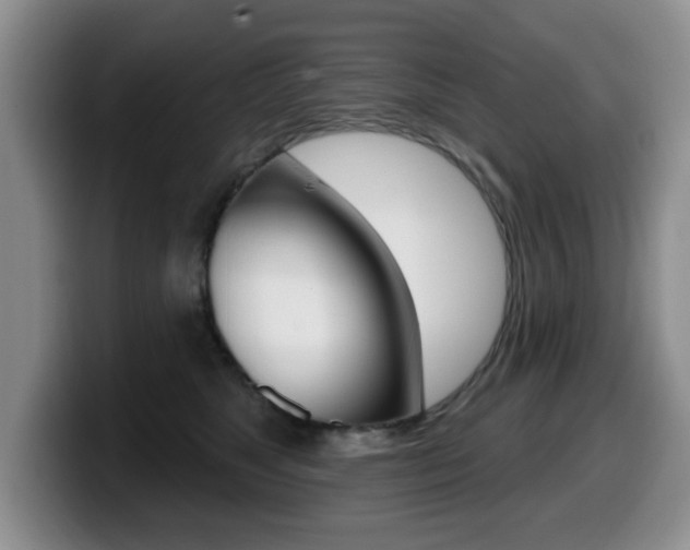 X0000099480517200805090836