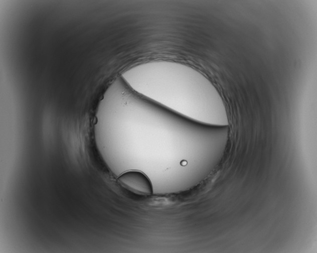 X0000099480519200805090836
