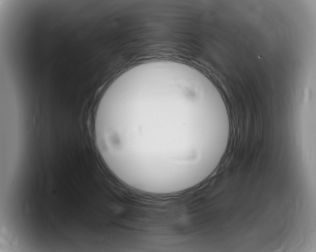 X0000099480520200805090836