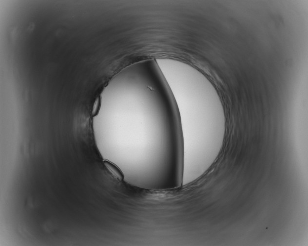 X0000099480521200805090836