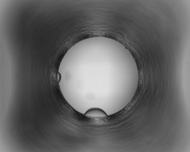 X0000099480522200805090836