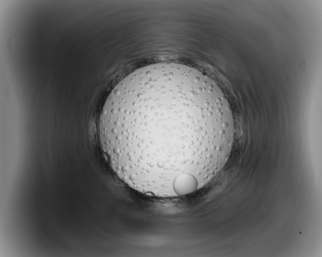 X0000099480523200805090836