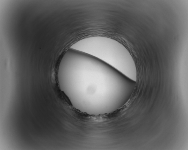 X0000099480524200805090836