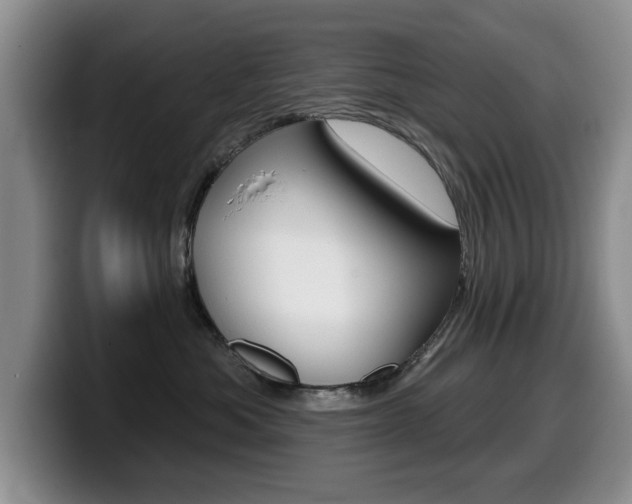 X0000099480525200805090836