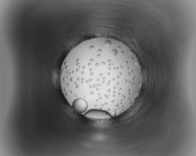 X0000099480527200805090836